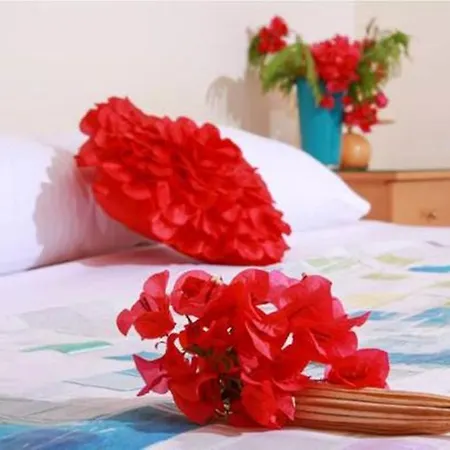Apartment Sirena Olympia Amber Apartment *